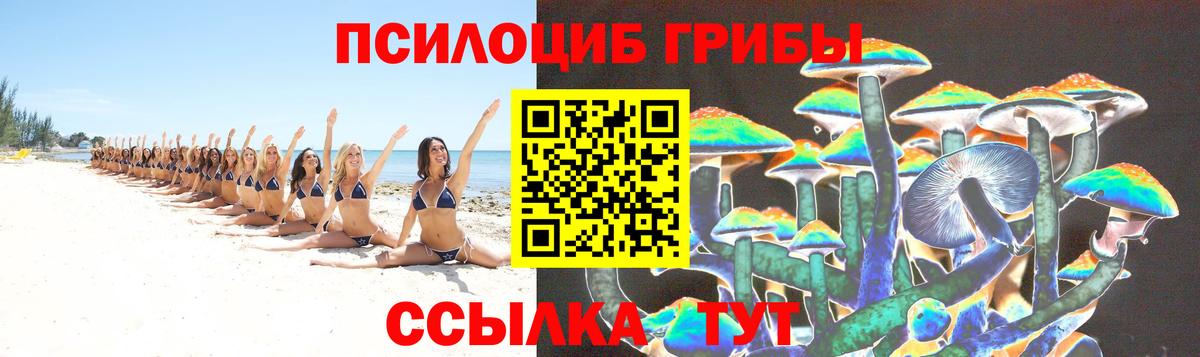 Псилоцибиновые грибы GOLDEN TEACHER Курган